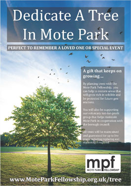 Download our 'Dedicate A Tree' PDF
