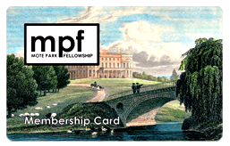 Join as a member.