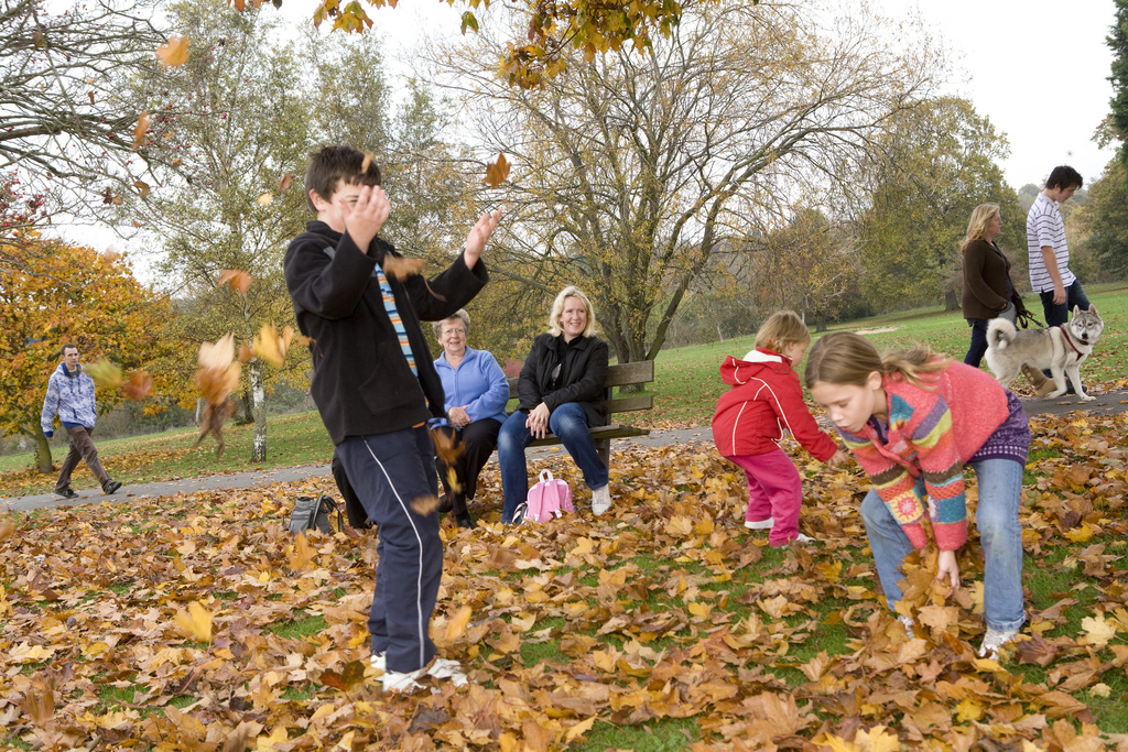 A family enjoying Mote Park